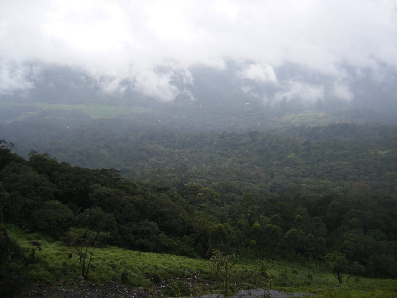 [Munnar-9.JPG]