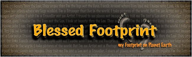 Blessed Footprint