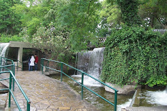 Colección Cerro San Bernardo de Paola Cuevas