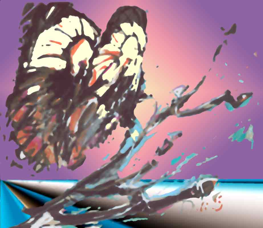 [butterfly.jpg]