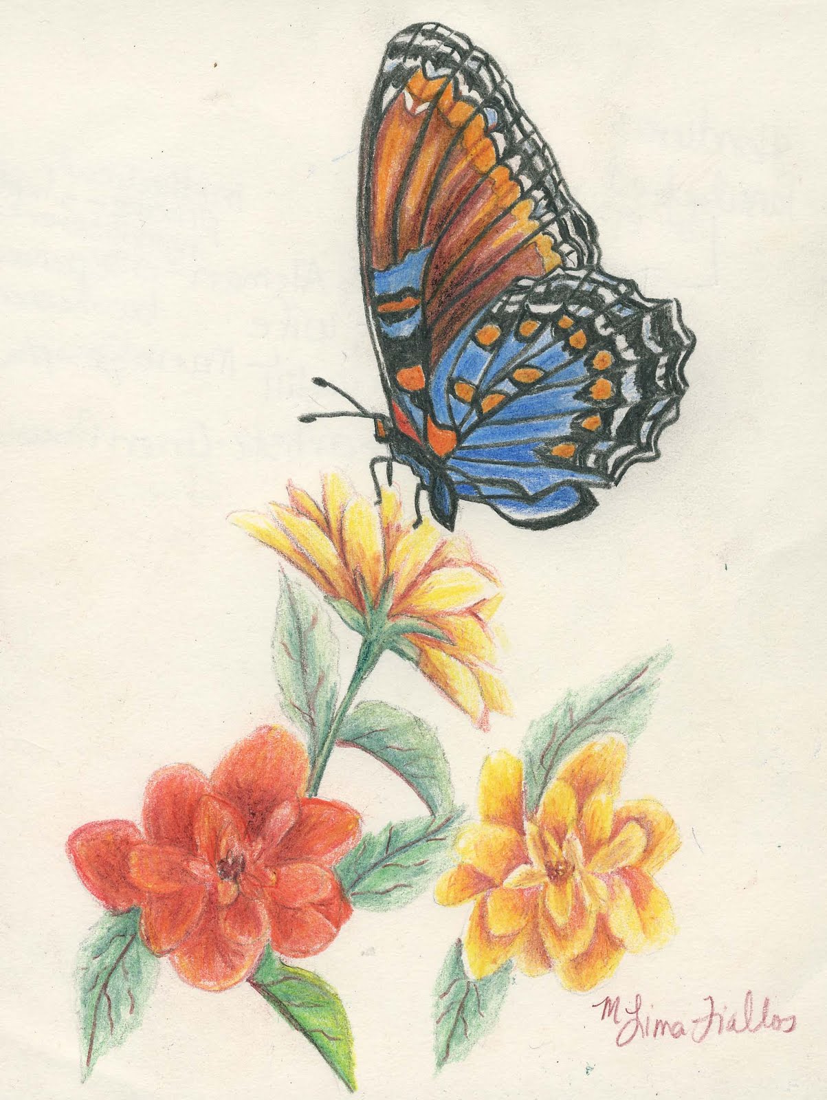 Gifts of Creation Artist Blog: Colored Pencil butterflies