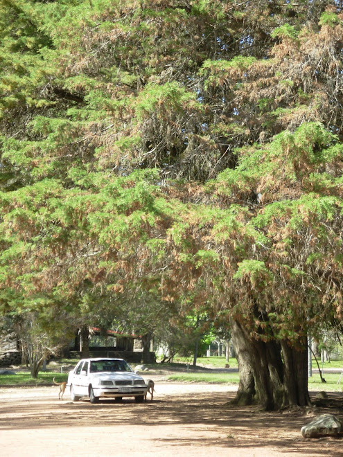 Recorrimos el Uruguay
