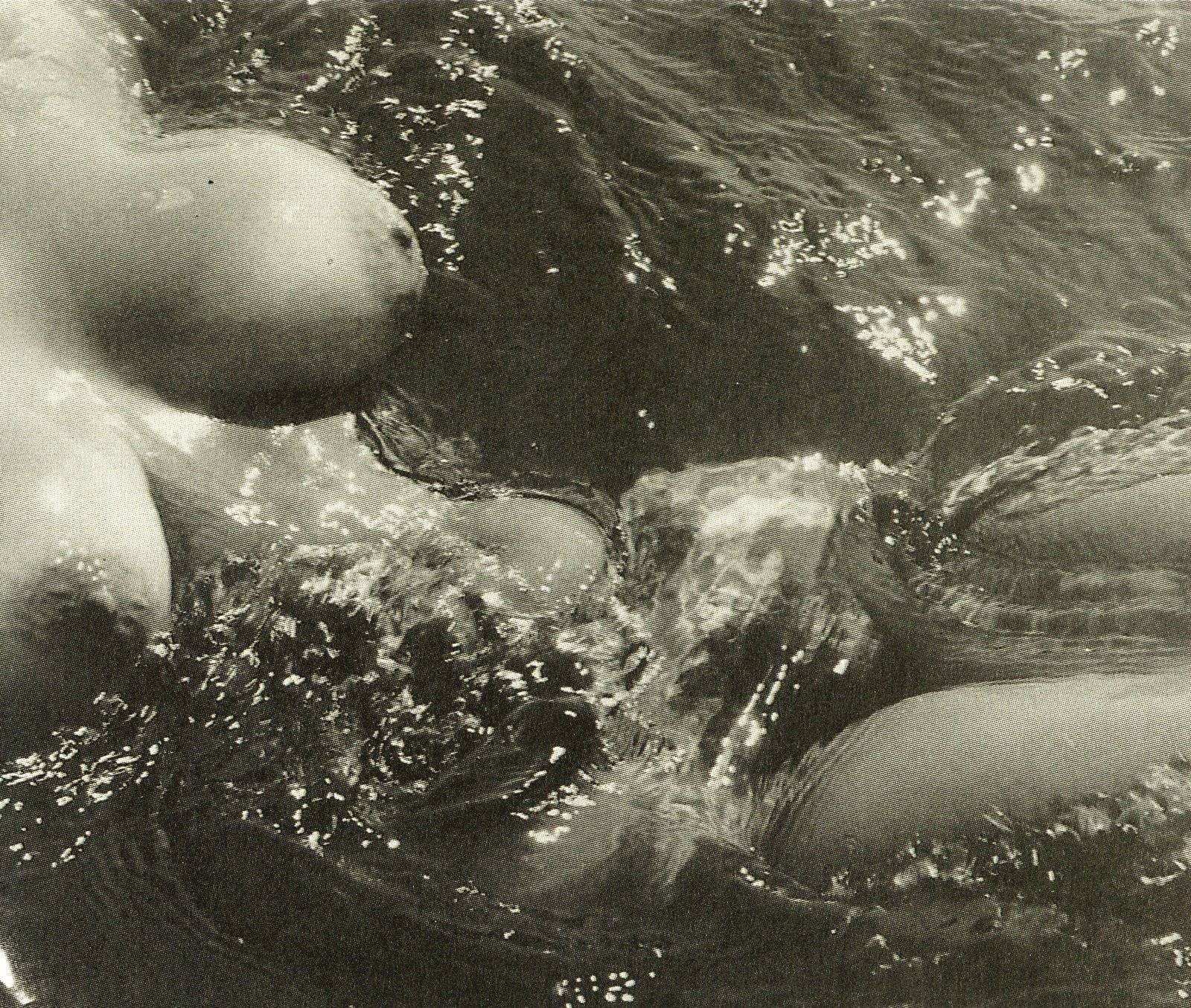 "NUDES OF THE SEA", ΦΩΤΟΓΡΑΦΟΣ: LUCIEN CLERGUE, 1975