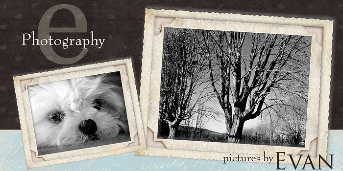 ePhotography