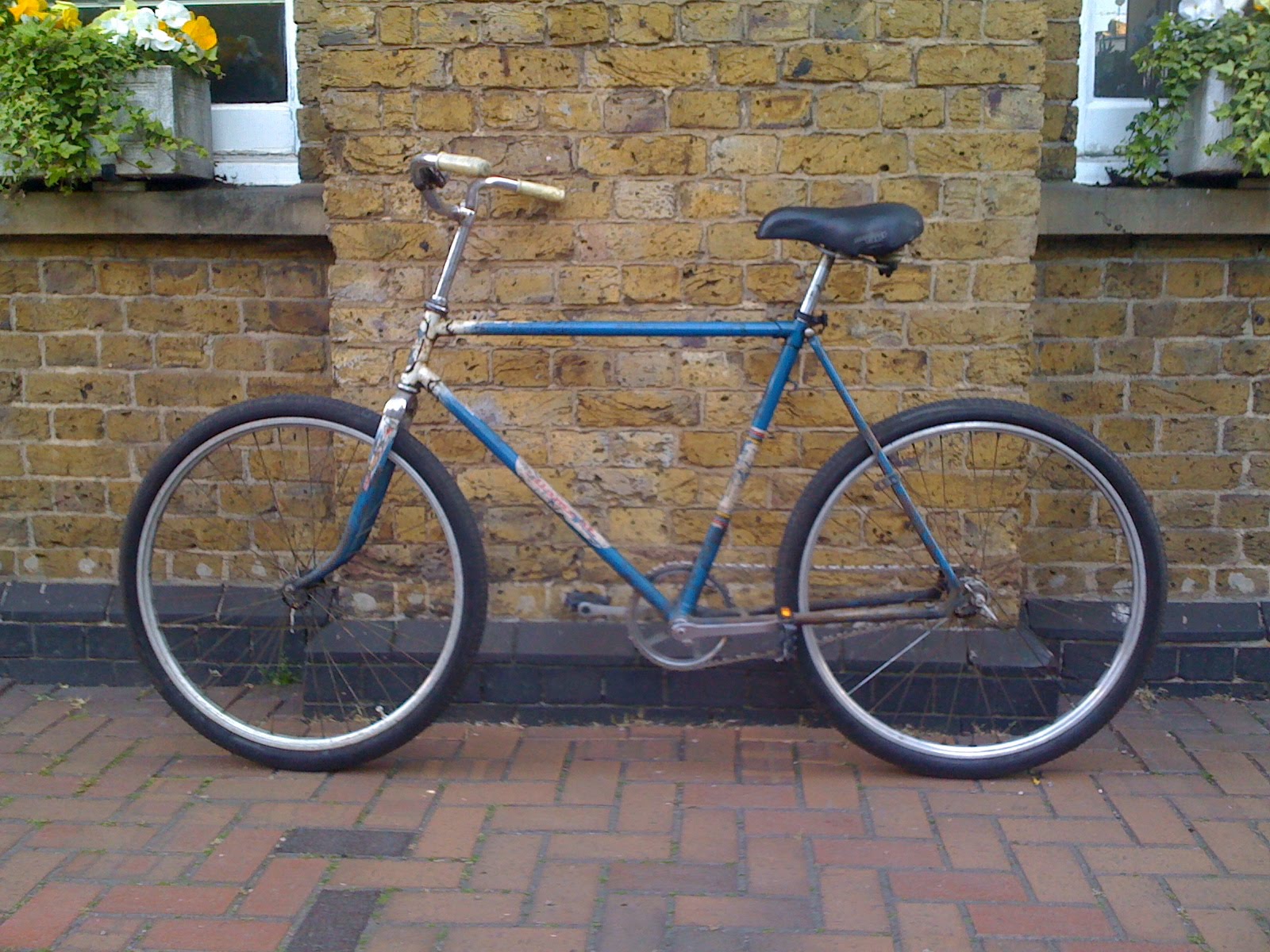 daddy bike