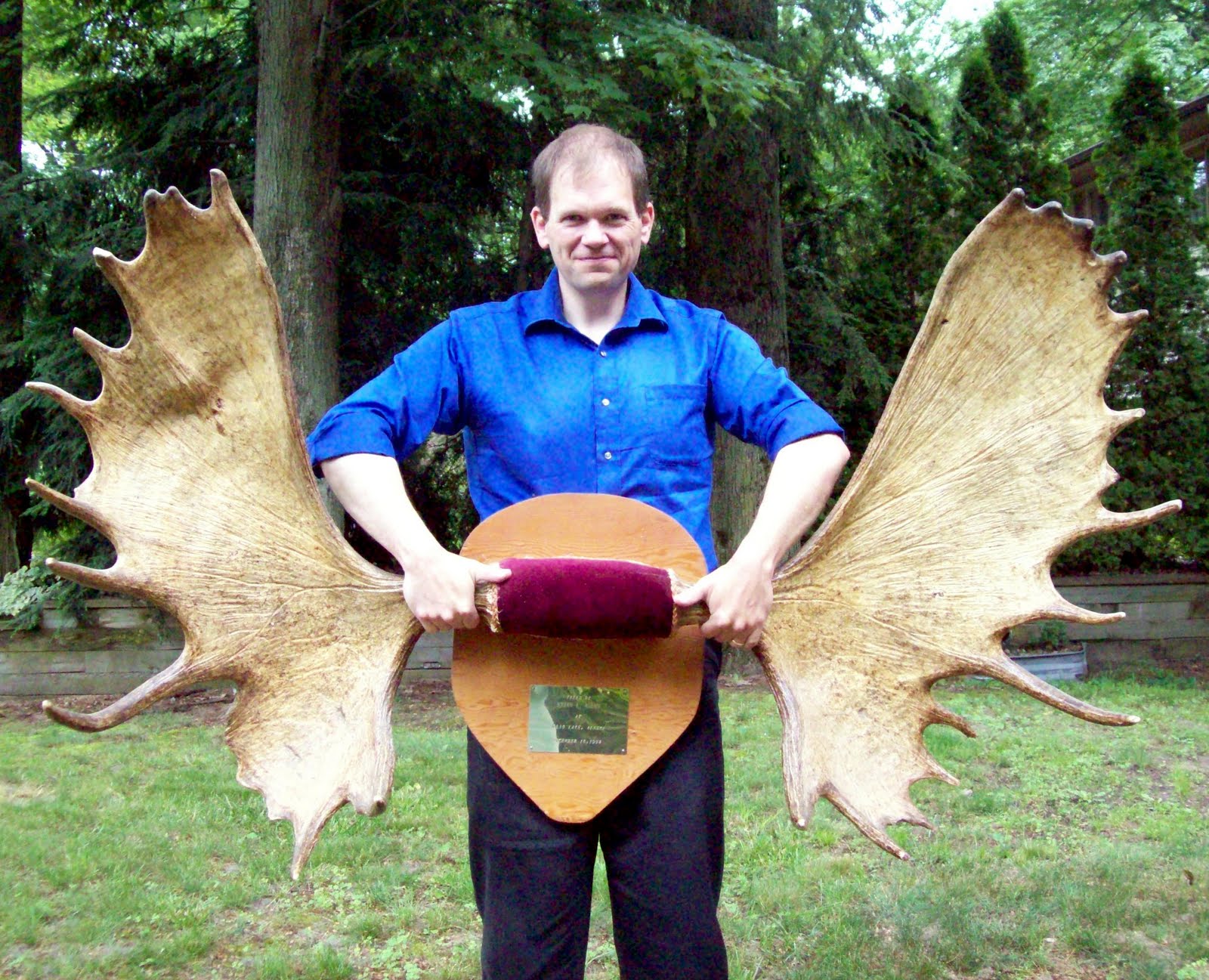 The Midnight Carver Moose Antlers for Sale! Check them out!