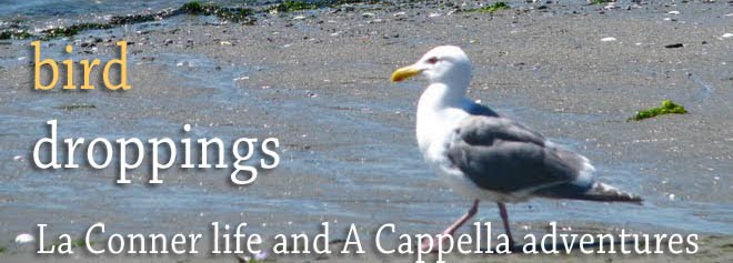 Bird Droppings