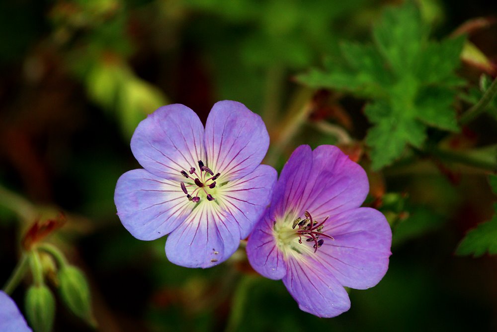 [8107f1961eba6582faa8c9673bae240f.jpg]