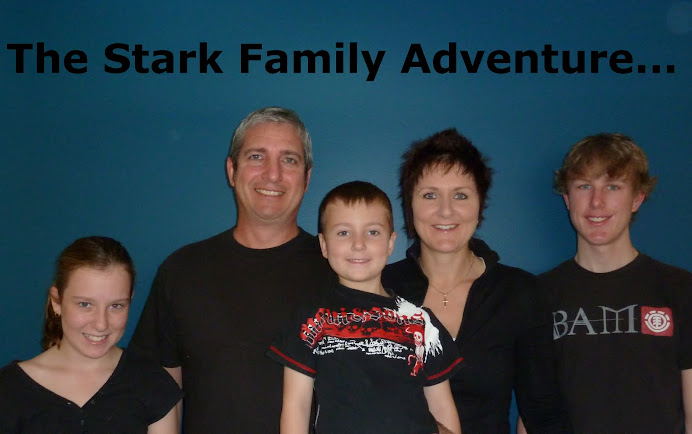 The Stark Family Adventure