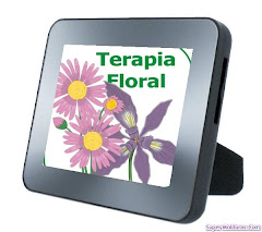 curso de florais de bach