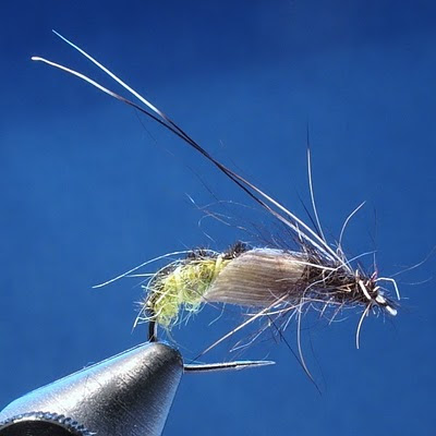 Grayling on the Fly: Step by Step Tying