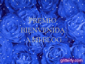 Bienvenida a mi Blog