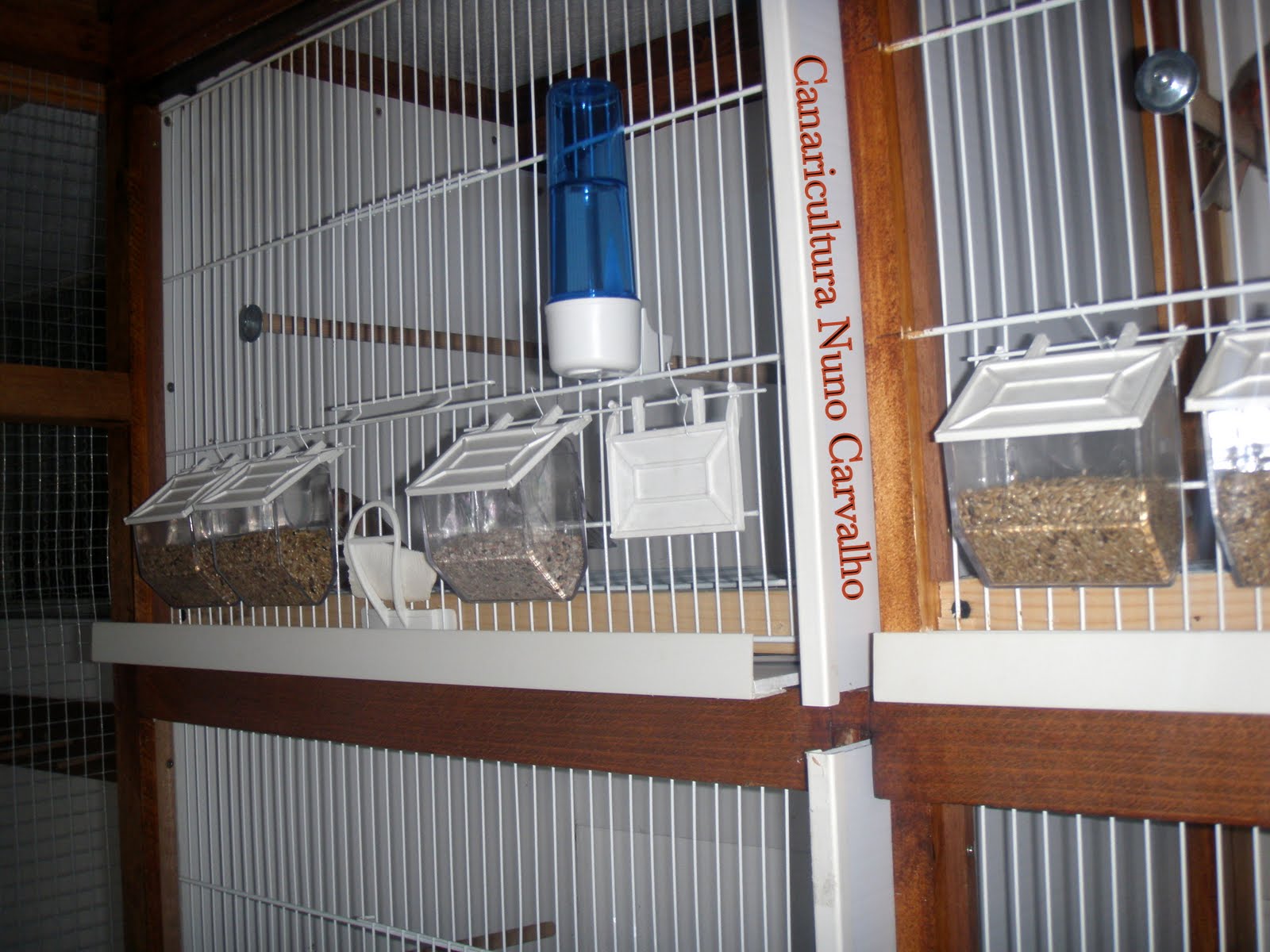 [bricolagem+canários8.JPG]