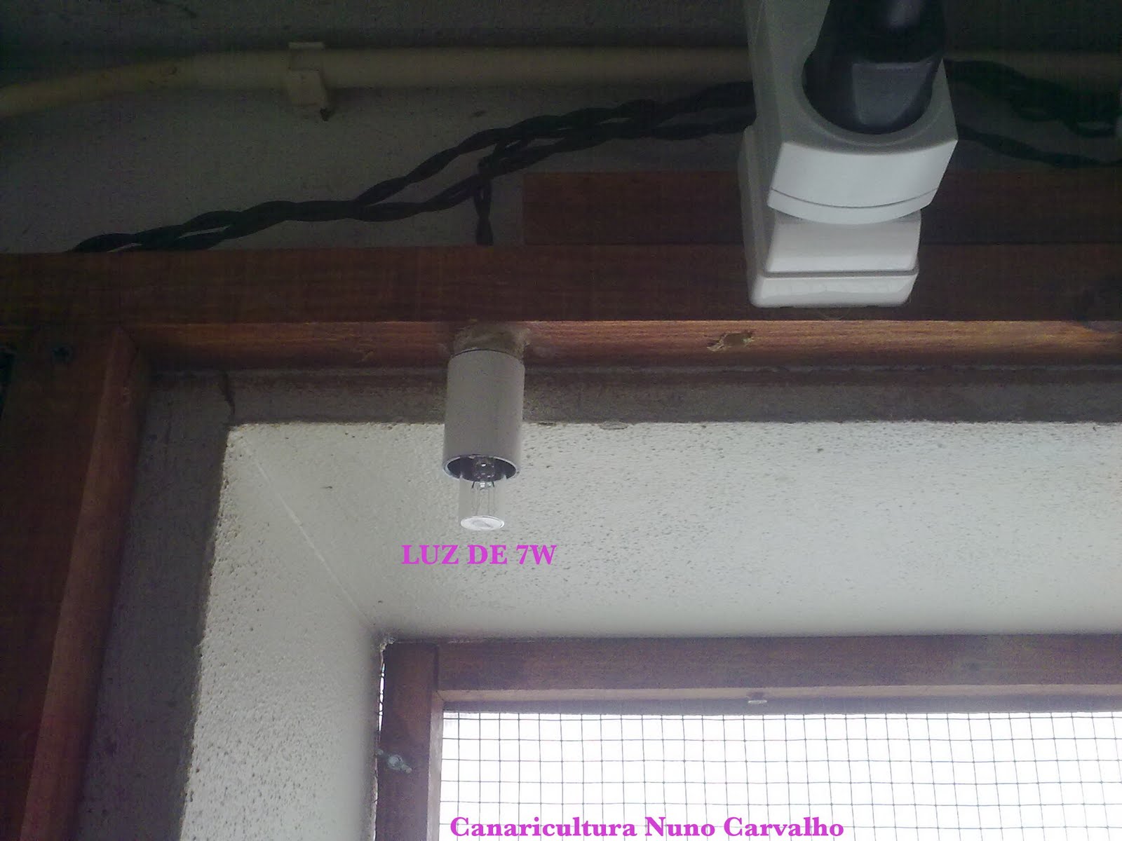 [luz_no_canaril1.jpg]