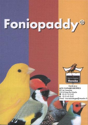 [FONIOPADDY.JPG]