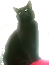 Oh beautiful pussy, Oh pussy my love ...
