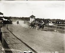 Trotting at the Belfast Fairgrounds