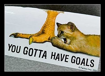 [goals2.jpg]