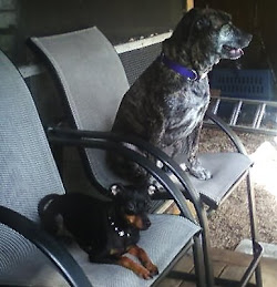 My kids