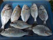 UN DIA DE PESCA INCREIBLE