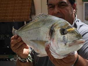 OTRO MAL DIA PARA LAS DORAS