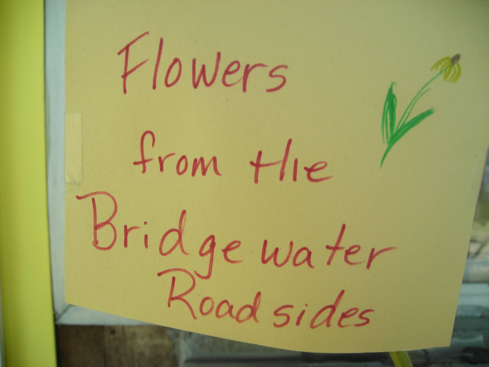 Bridgewater Lake House Summer Wild Flowers at the Lake House