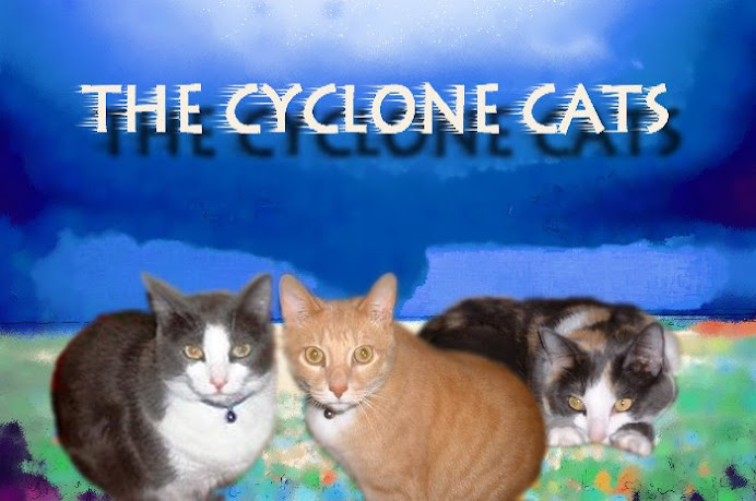 The Cyclone Cats!