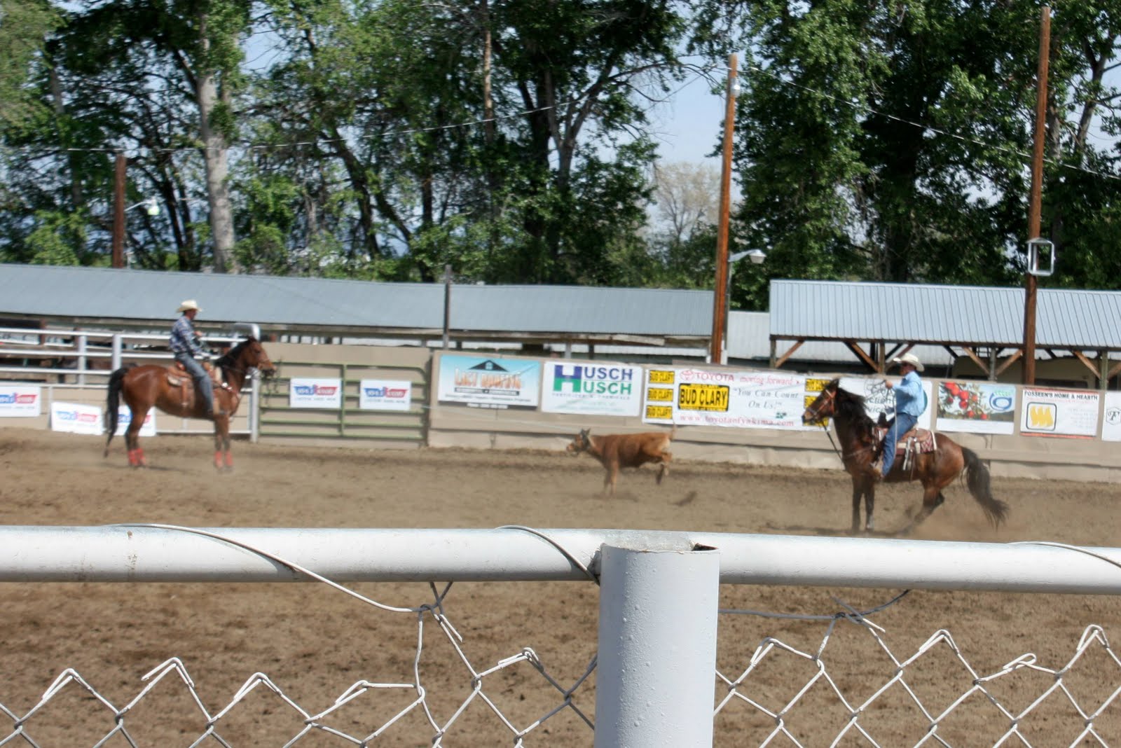 The Stewart Family Wiley City Rodeo