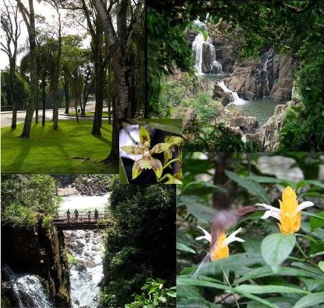 [Sem+tÃ­tulo122.jpg]