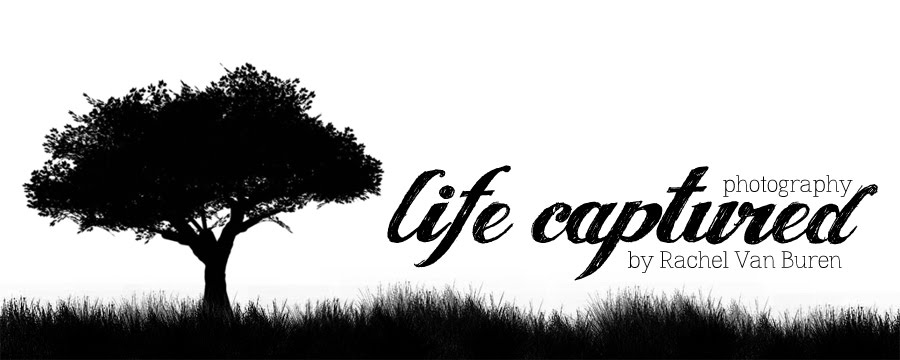Life Captured Photography by Rachel Van Buren
