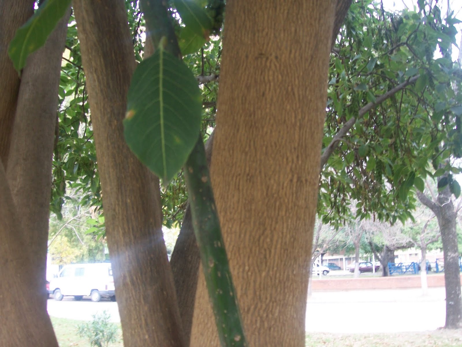 BIBLIOTECA DE LA MEDIA 1 LUJAN: mayo 2010