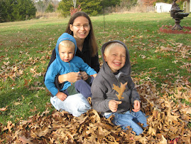 My Grandsons & Their Mama!!!