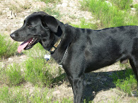 Palmer our "bgg LUVER"