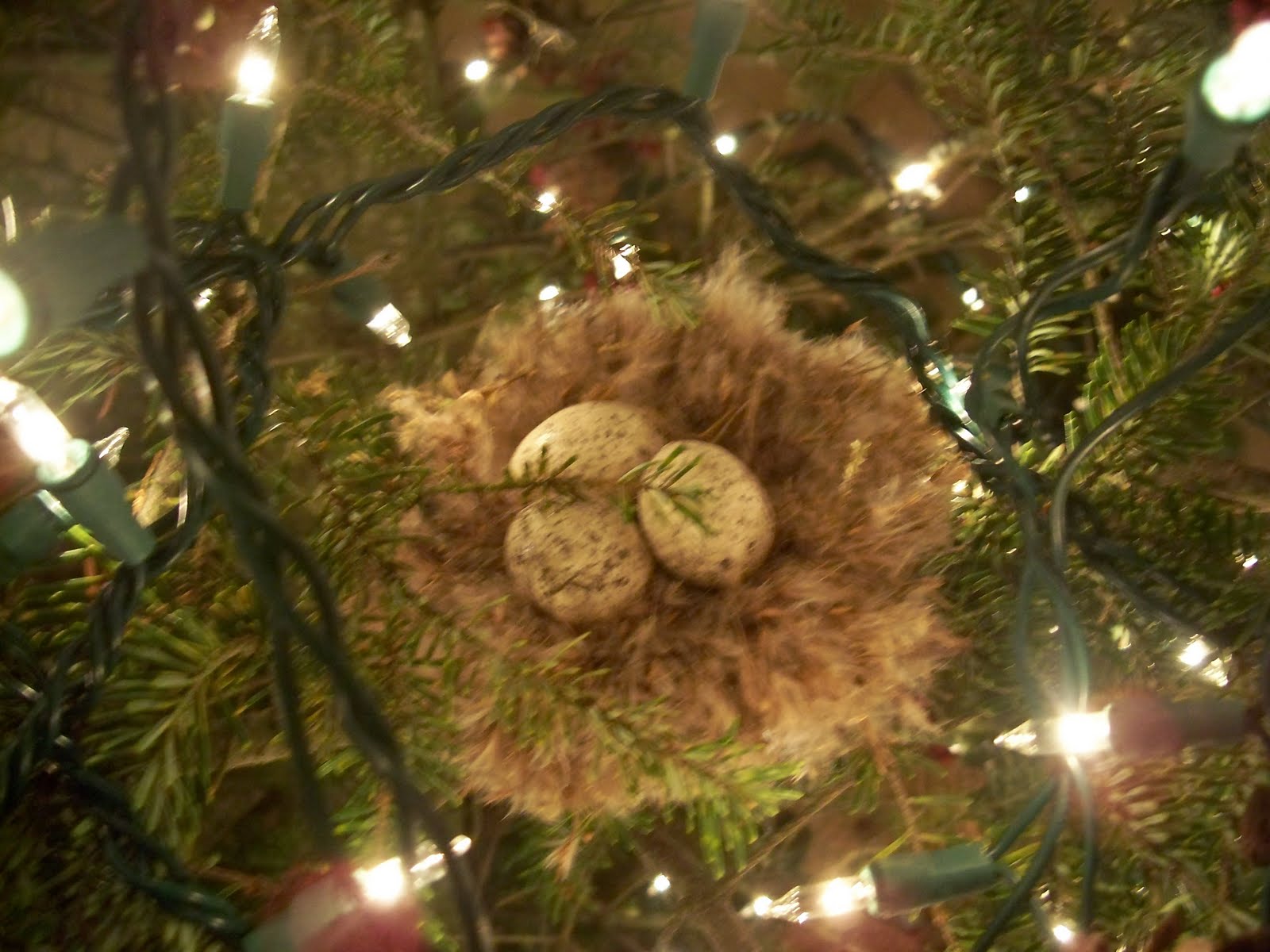 [christmas+tree2009+028.JPG]