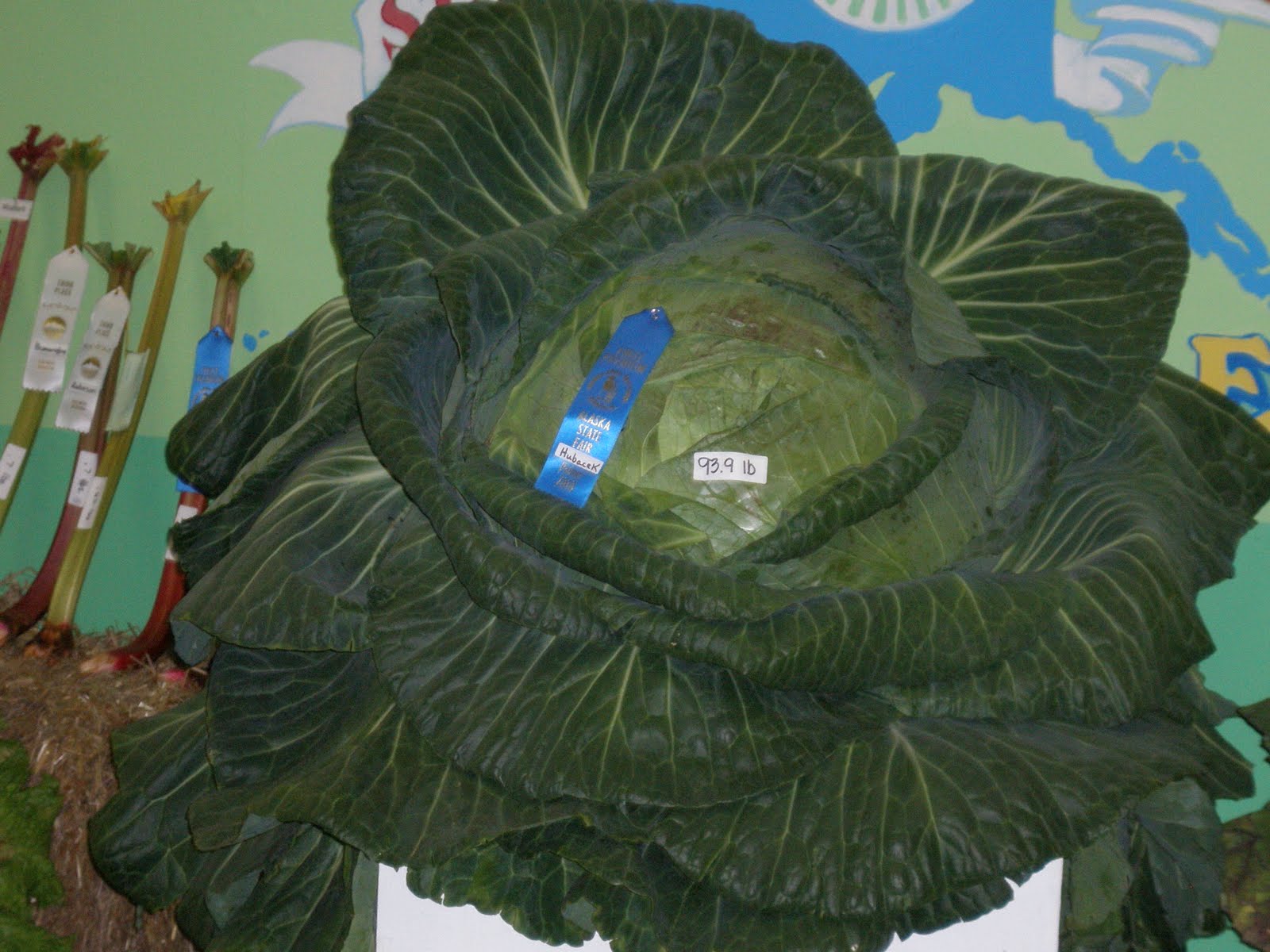 M and T's Alaskan Adventure Alaska Vegetables