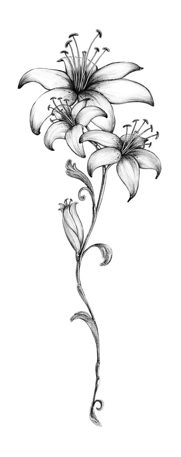 Simple Lily Tattoo