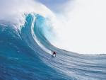 SURF Big Wave Video