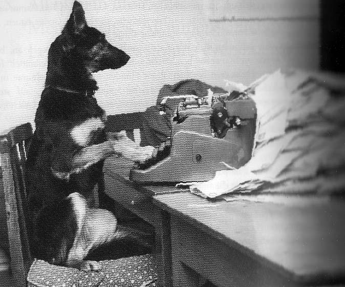 [typewriterdog.jpg]