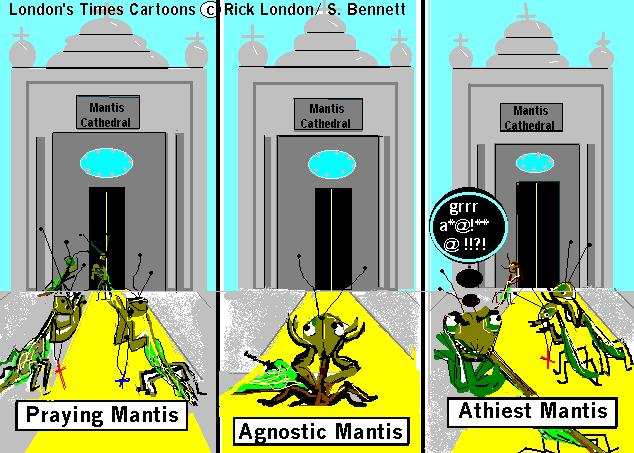 [gather+sat+agnost+mantis.jpg]