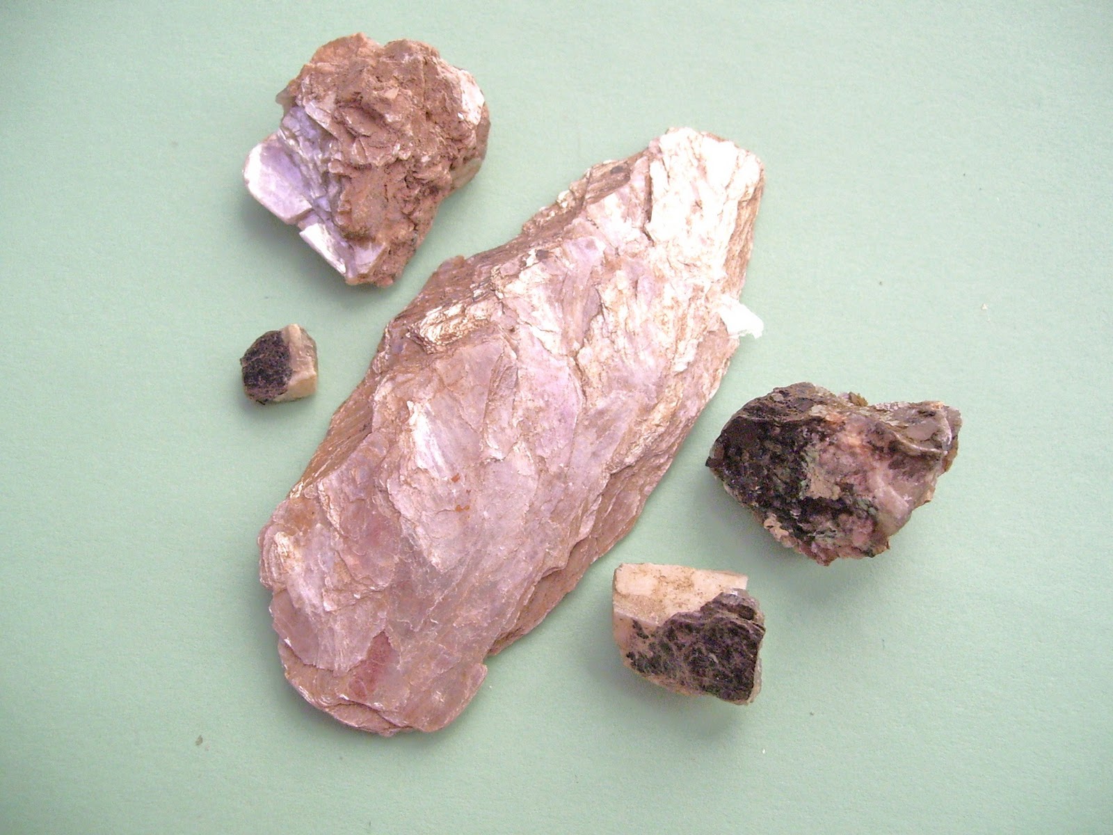 My World Rocks! Mica a Shining Star