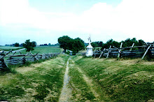 The Sunken Road