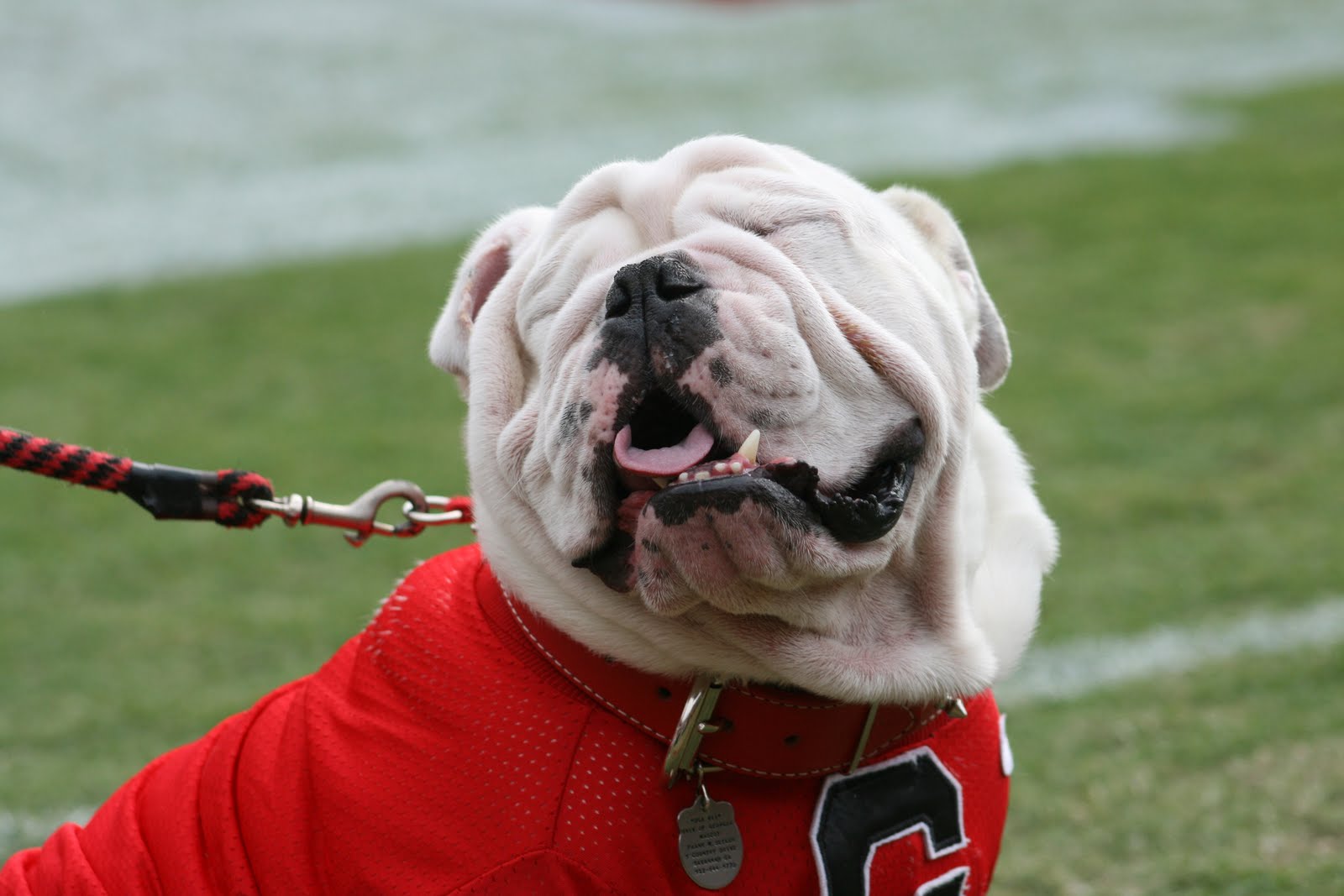 uga endnote uga endnote