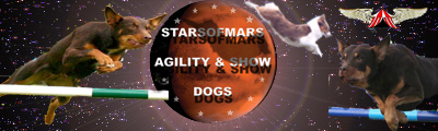 Starsofmars dogblog
