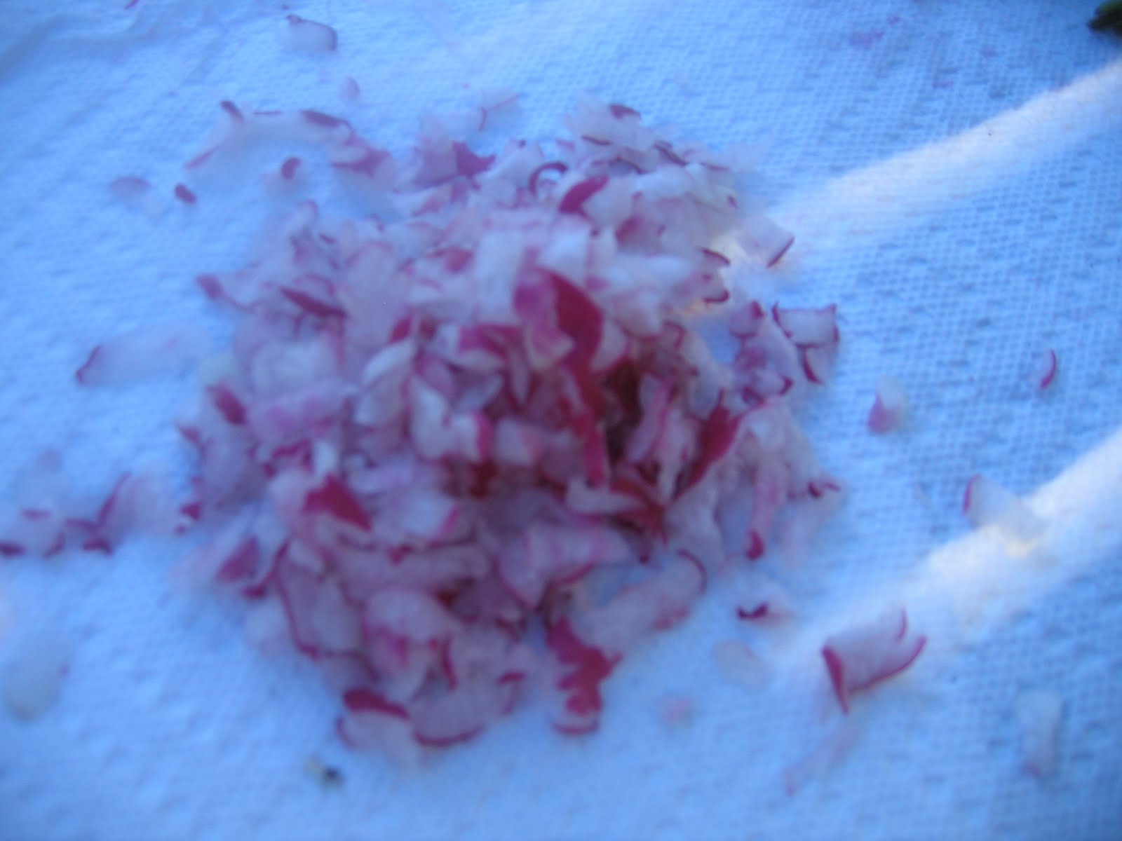 CSA girl Radish Butter on Toasted Baguette