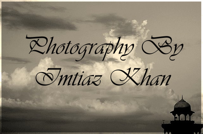 imtiaz khan photography