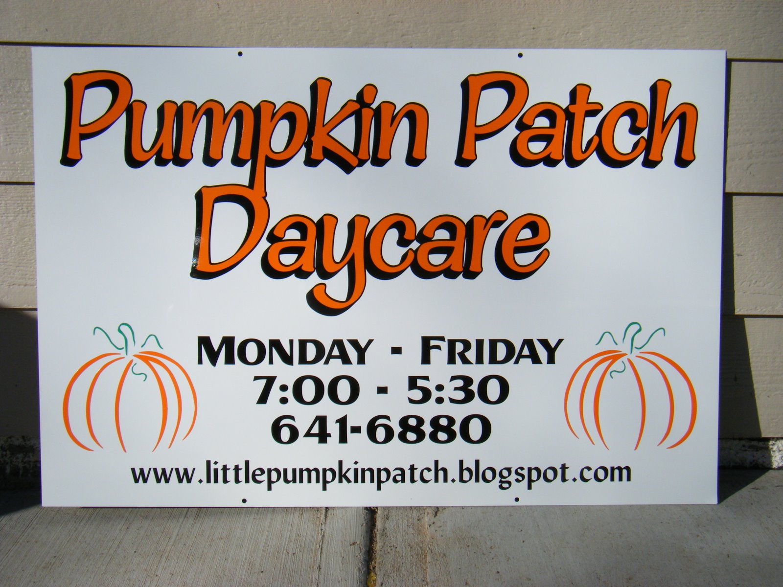 Pumpkin Patch Daycare: 2/1/09 - 2/8/09