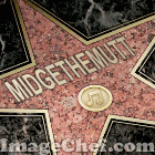 Midge's Star on the Anipal Walk of Fame