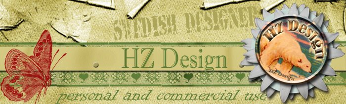 HZ Design