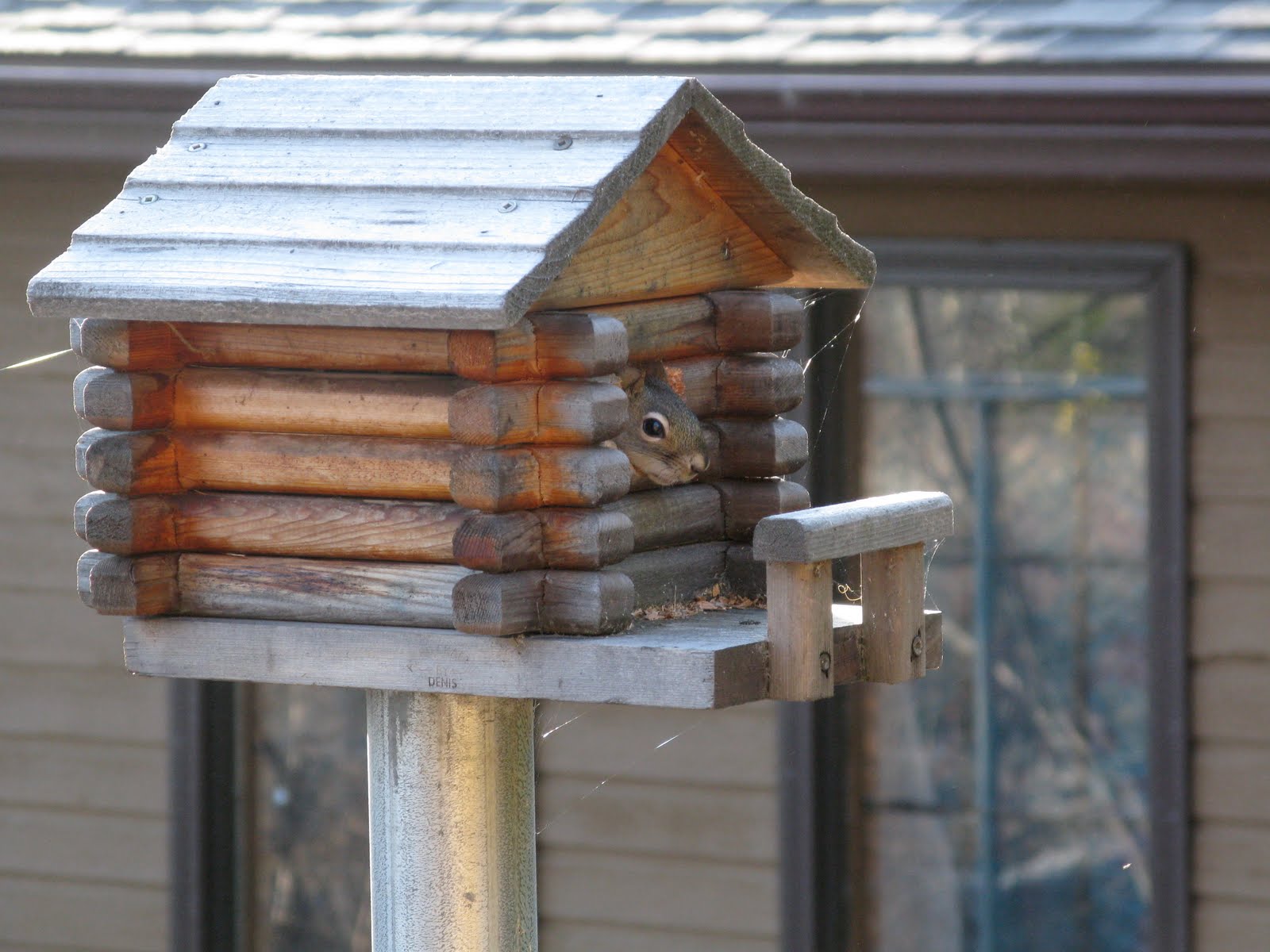 Northern Exposure Gardening Squirrel Home