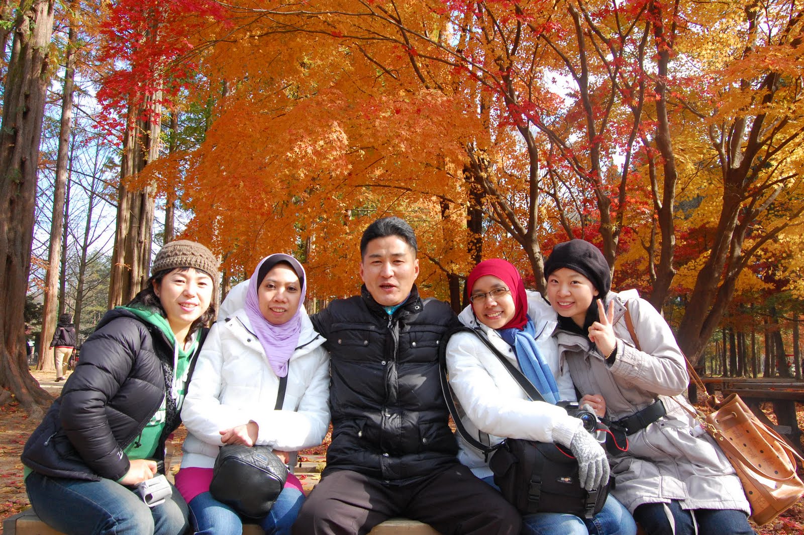 When is the best season to visit Korea?